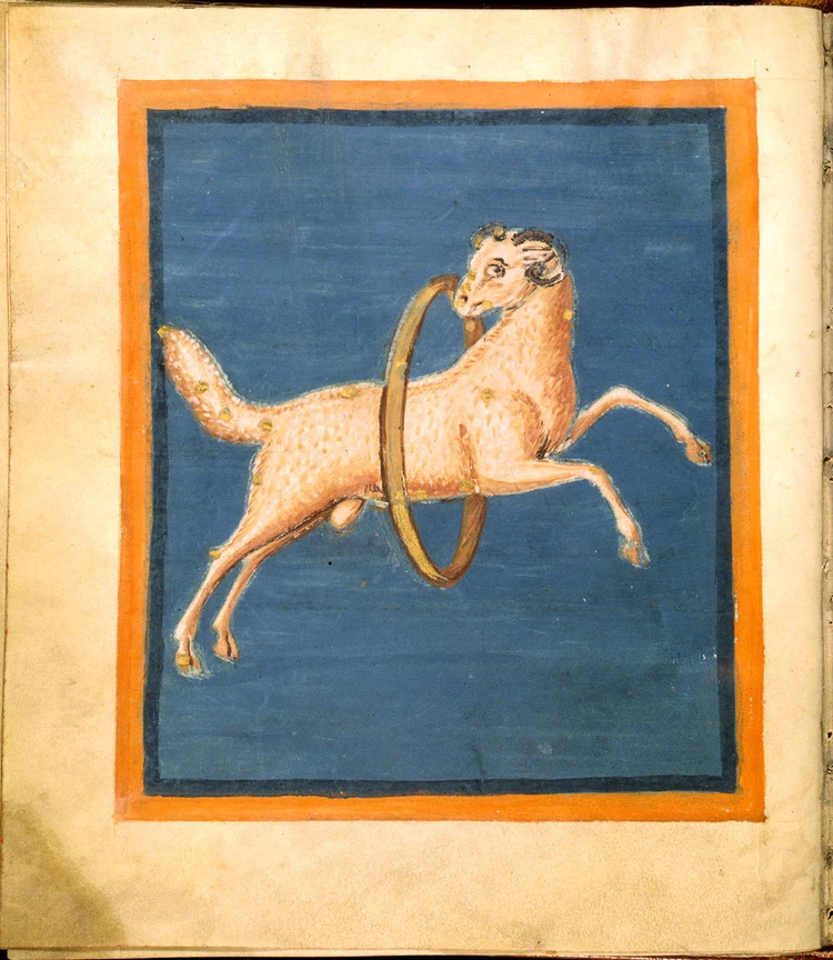 /thumb/aratea-aries.webp