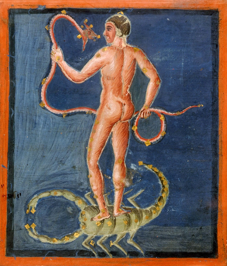 /thumb/aratea-ophiuchus-et-serpens-et-scorpius.webp